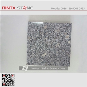 G341 Shandong Grey Granite Blocks Sesame White Padang Impala Snow Royal