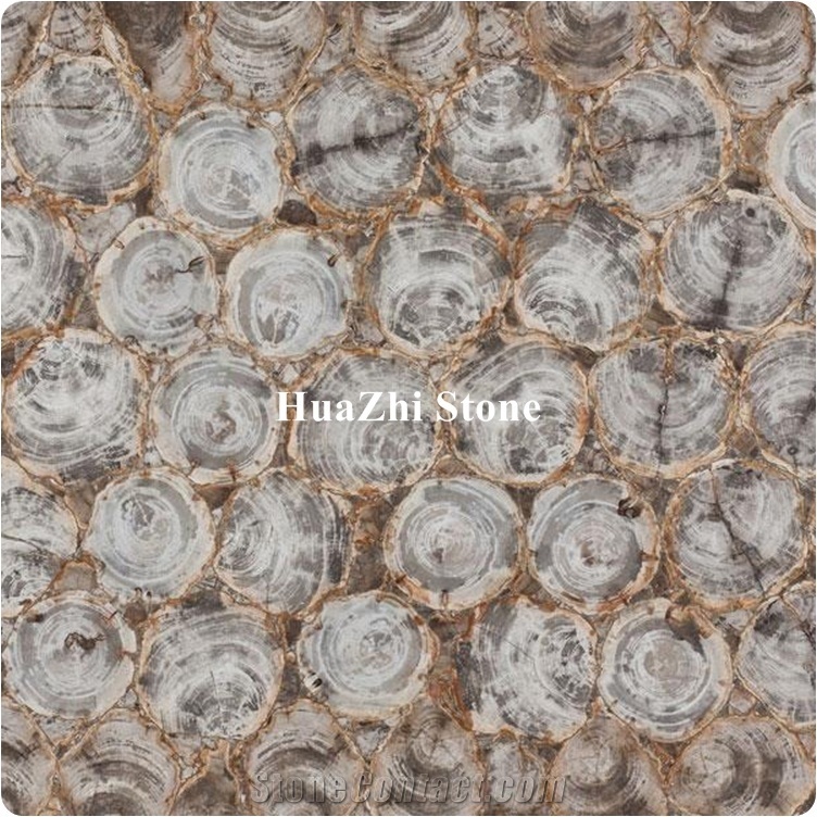 Semiprecious Stone Slabs Fossil Stone Petrified Wood Slabs Wall