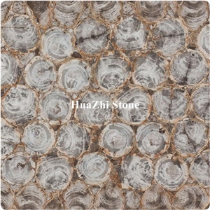 Semiprecious Stone Slabs Fossil Stone Petrified Wood Slabs Wall