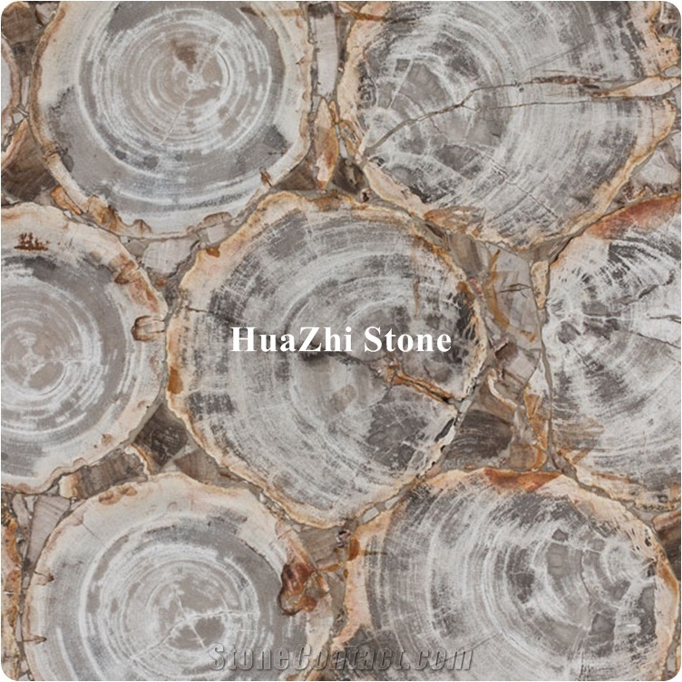 Semiprecious Stone Slabs Fossil Stone Petrified Wood Slabs Wall