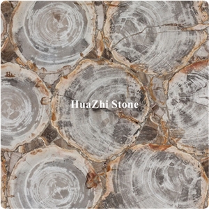Semiprecious Stone Slabs Fossil Stone Petrified Wood Slabs Wall