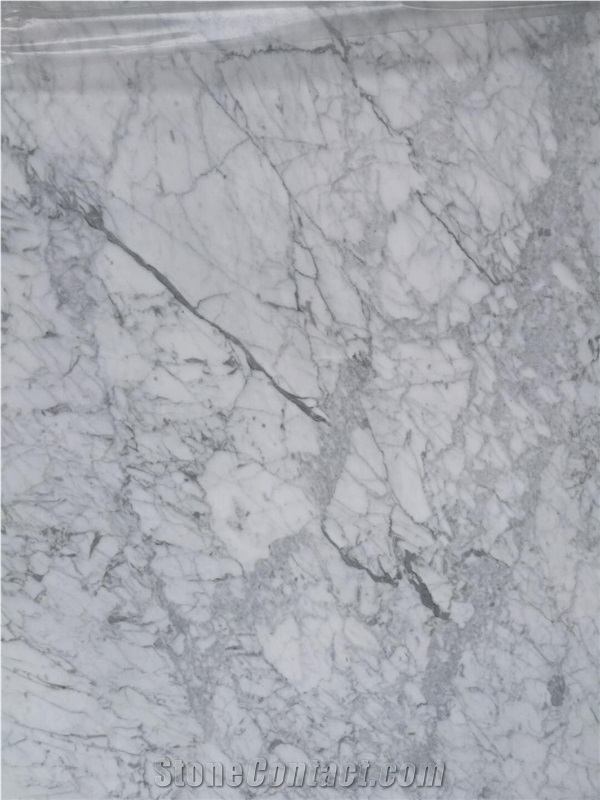 Bianco Carrara Venato White Marble Slabs Wall Covering/Floor/Paneling