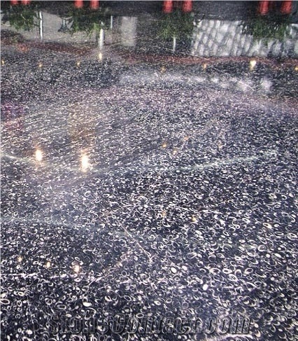 Black Sea Shell Marble Slabs Floor Covering/Hotel Lobby Walling Stones