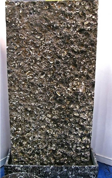 Black Sea Shell Marble Slabs Floor Covering/Hotel Lobby Walling Stones