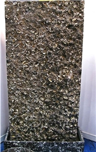 Black Sea Shell Marble Slabs Floor Covering/Hotel Lobby Walling Stones