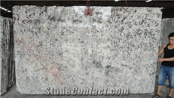 Chinese Factory Direct Natural Grey Granite Bianco Antico Slabs Tiles