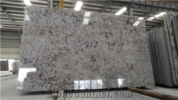 Customer Size Bianco Antico Granite Flooring Covering Slabs / Tiles