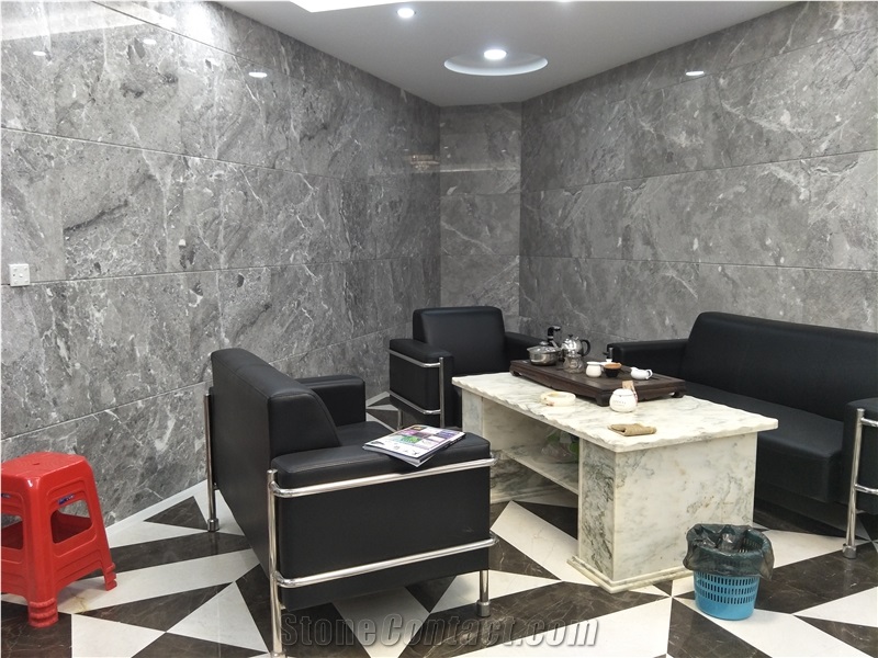 Hermes Grey Marble Big Slabs Wall Floor Covering, Elegant Build Stone