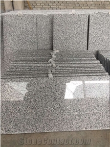New G603 Light Grey Granite/Bella White/Surface Polished Tiles & Slabs