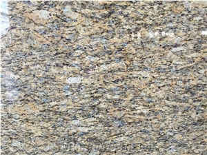 Santa Cecilia Dark Giallo Cecilia Granite Big Slabs, Small Slabs Tiles