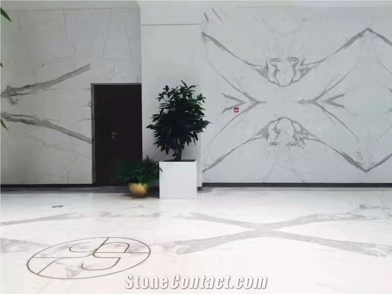 Statuarietto White Marble,Bianco Statuarietto Marble Polished