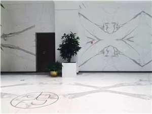 Statuarietto White Marble,Bianco Statuarietto Marble Polished