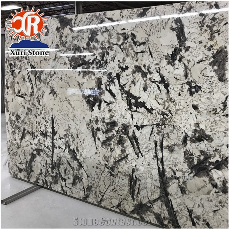 Top Quality Exotic Brazillian Elegant Snowflake Alaska White Granite Countertops