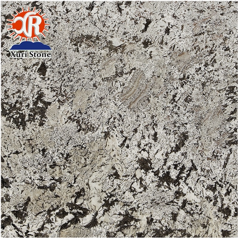 Wholesale Prefab Bianco Antico White Granite Countertops