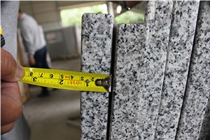 China New Granite Peddy Pearl or New G640 Granite Commercial Counters
