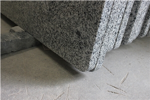 China New Granite Peddy Pearl or New G640 Granite Commercial Counters