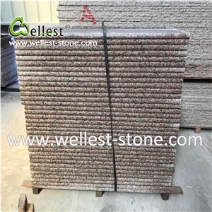 Pink Granite Steps with Bullnose Edge Stairs&Riser