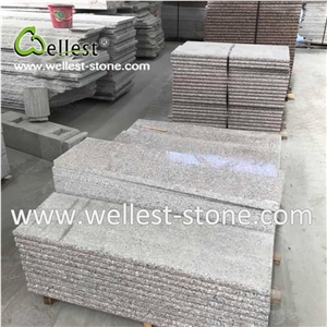 Pink Granite Steps with Bullnose Edge Stairs&Riser
