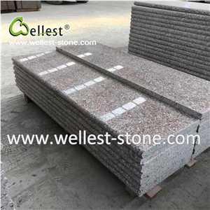 Pink Granite Steps with Bullnose Edge Stairs&Riser