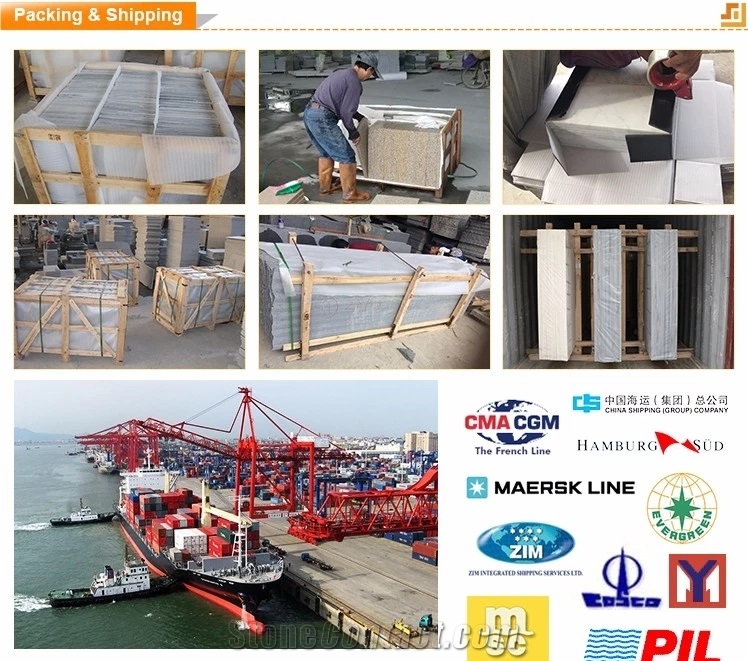 Competitive Price Yixian Black Granite Pure Granite from Factory