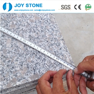 2cm Pear Flower Red Color G383 Granite Polished Tiles 30x60