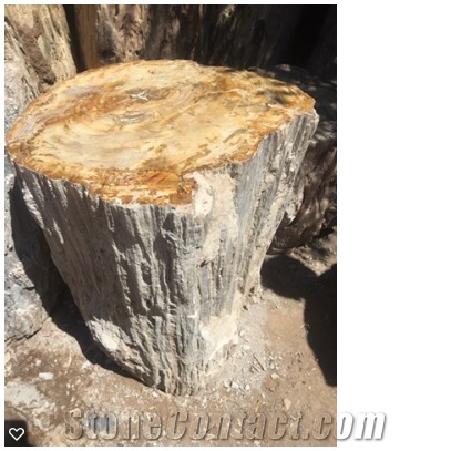 Petrified Wood Stone Blocks