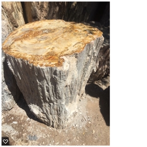 Petrified Wood Stone Blocks