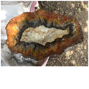 Petrified Wood Stone Blocks
