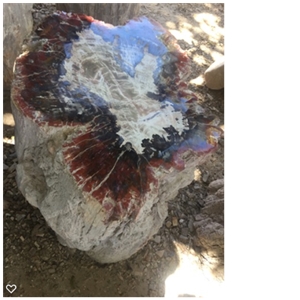 Petrified Wood Stone Blocks