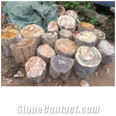 Petrified Wood Stone Blocks