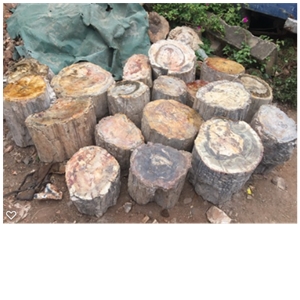 Petrified Wood Stone Blocks
