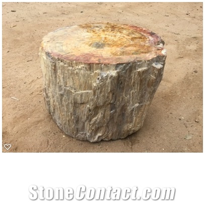 Petrified Wood Stone Blocks