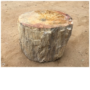 Petrified Wood Stone Blocks