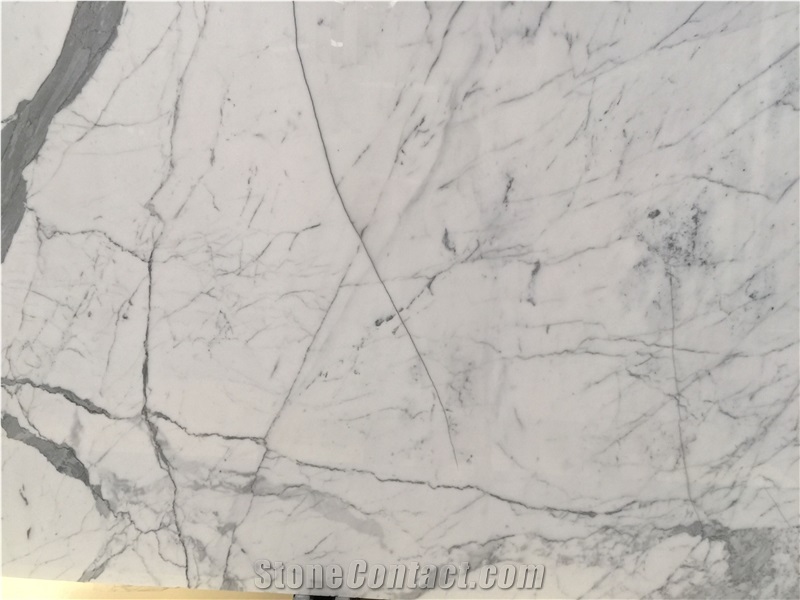 Calacatta White Marble Tiles Arabescato Corchia Statuario Marble Slabs