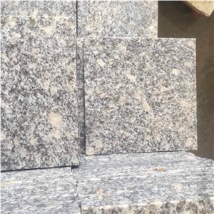 New Bianco Sardo Sesame White Walkway Pavers Grey White G602 Granite