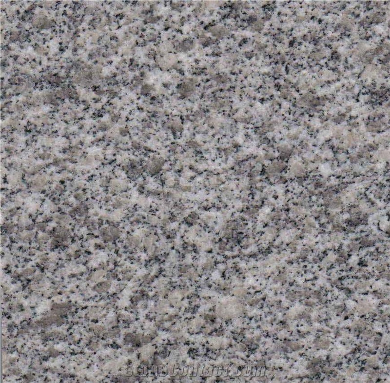 New Bianco Sardo Sesame White Walkway Pavers Grey White G602 Granite