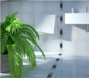 Marbles White Thassos :30x30cm Porcelain Tile
