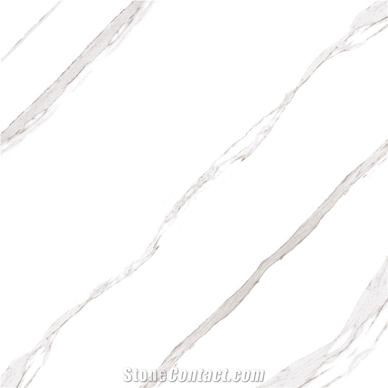White Porcelain Tile & Ceramic Tile