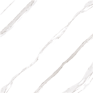 White Porcelain Tile & Ceramic Tile