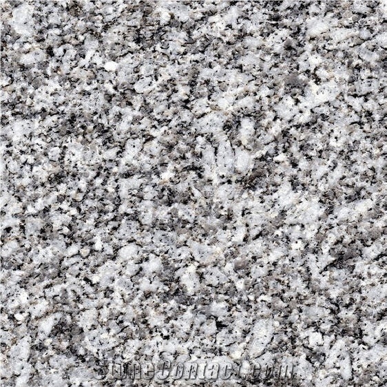 Cinzento Antas Granite