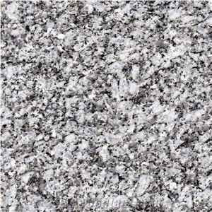 Cinzento Antas Granite