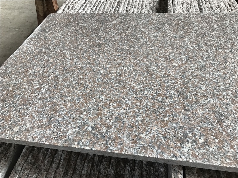 Granite New G664 Polished Tiles