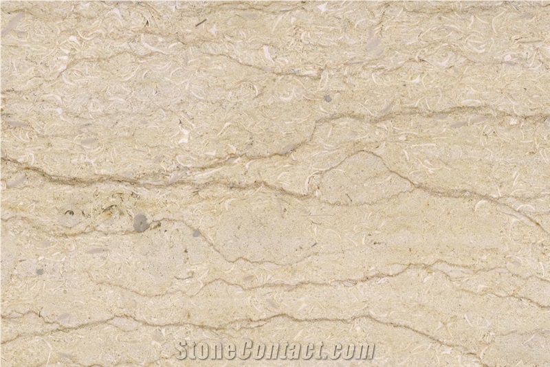 New Selvia Marble Slabs, Tiles