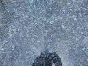 Bule Pearl Granite Slabs / Tiles Good Quality and Good Price