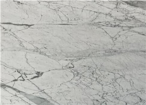 White Marble Statuario Classic Slabs & Tiles High Quality & Good Price