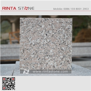 G461 Granite G661 Chili Red Pearl Rosa Rose Anglina Shrimp Slabs