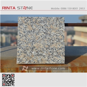 Huian White Granite G600 / G604 /G605 Dujuan Red Roman Rose Rosa