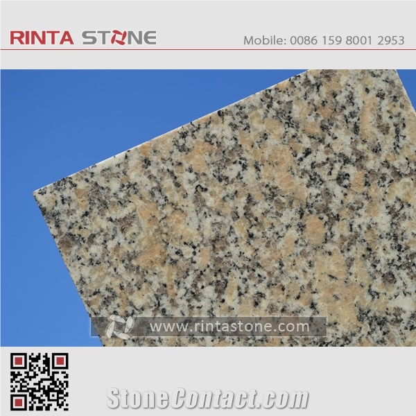 Huian White Granite G600 / G604 /G605 Dujuan Red Roman Rose Rosa