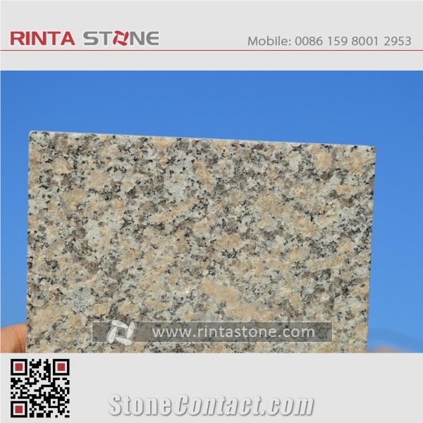 Huian White Granite G600 / G604 /G605 Dujuan Red Roman Rose Rosa
