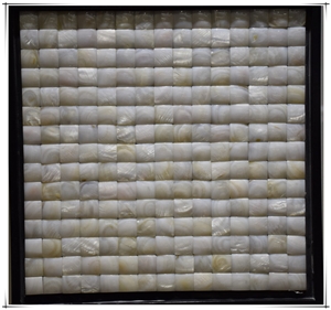 White Shell Mosaic for Flooring Wall Tile Swimming Pool House Decor